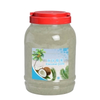 Coconut Jelly Suppliers