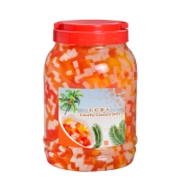 Bubble Tea Topping Suppliers