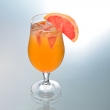 Grapefruit Concentrated Juice Suppliers