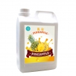 Pineapple Concentrated Juice Suppliers