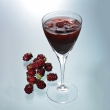 Mulberry Concentrated Juice Suppliers