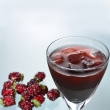 Mulberry Concentrated Juice Suppliers