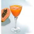 Papaya Syrup Suppliers