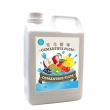 Osmanthus Plum Concentrated Juice Suppliers