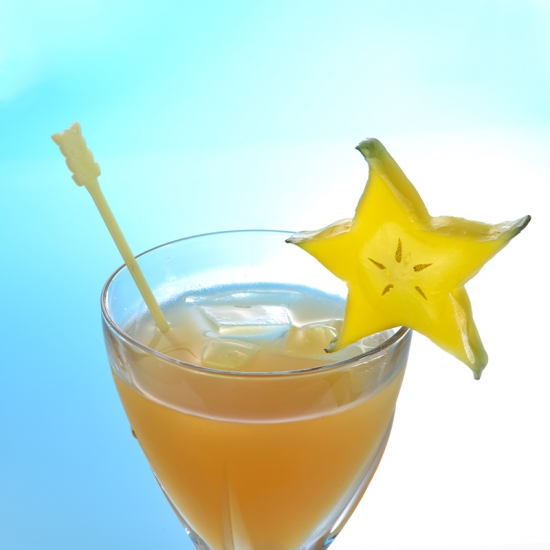 Sunnysyrup Food - Starfruit Syrup Juice Concentrate Supplier